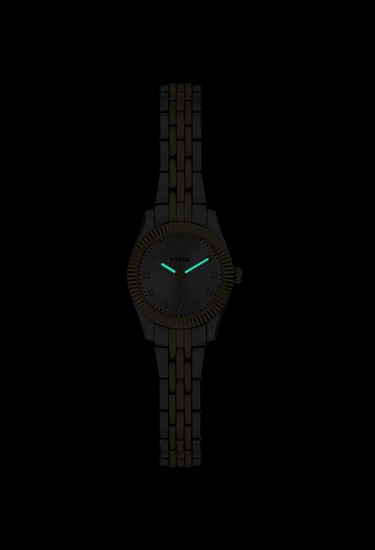 Scarlette Mini 20mm Three-Hand Two-Tone Stainless Steel Watch - Image 7